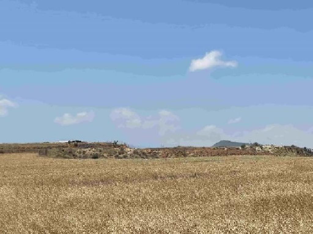 Field - Arediou, Nicosia