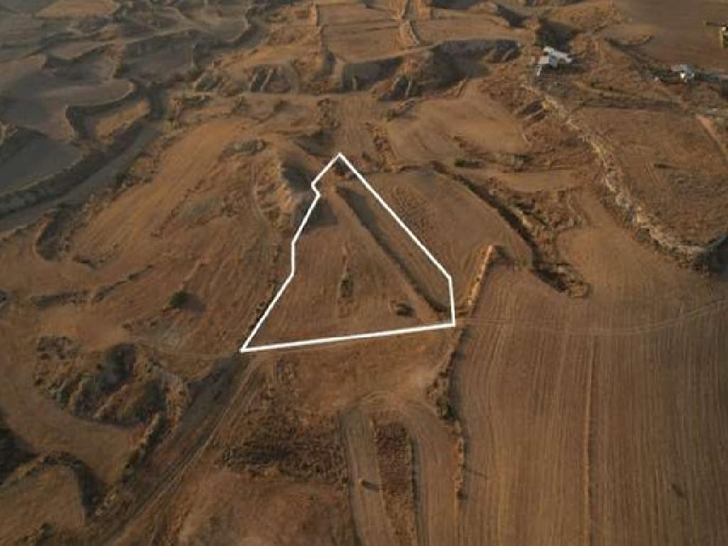 Field - Arediou, Nicosia