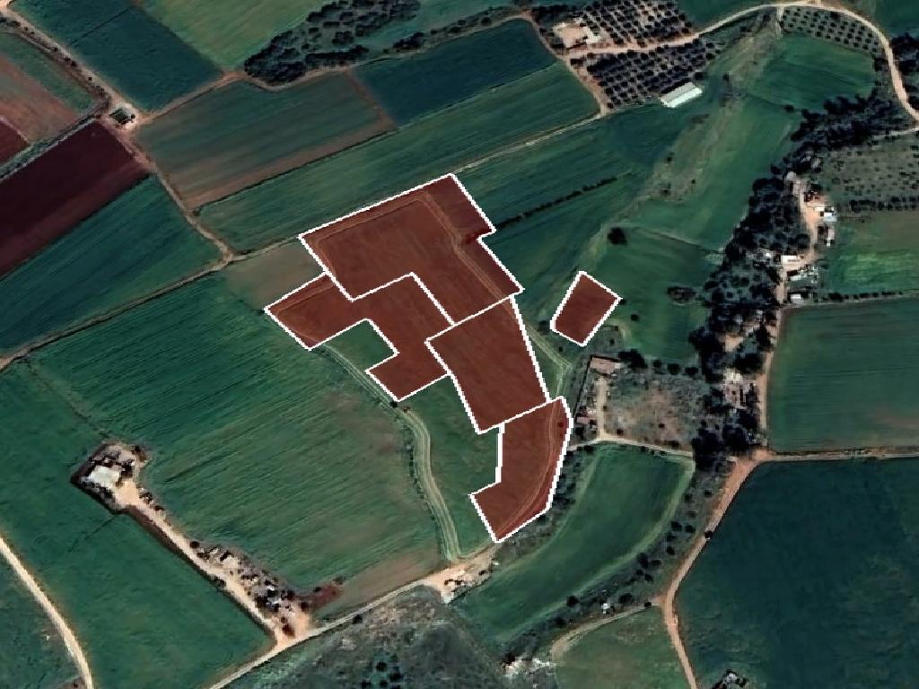 Field-Avgorou-CP10233