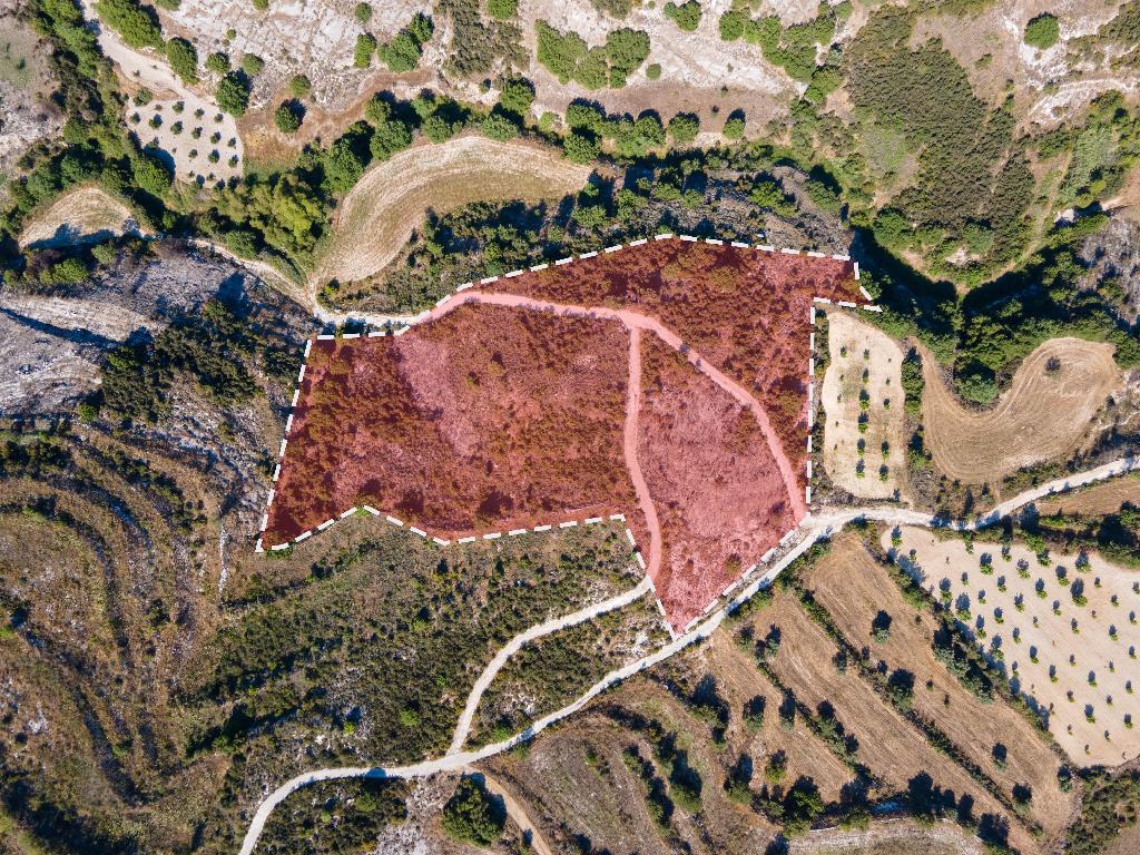 Field-Polemi-PR10994