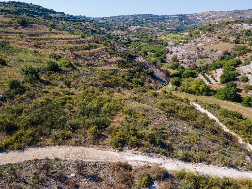 Field-Polemi-PR10994