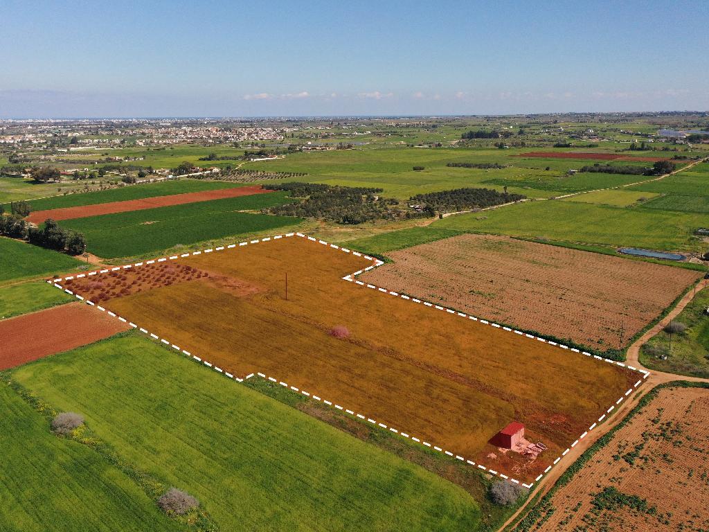 Field (Share) - Avgorou, Famagusta