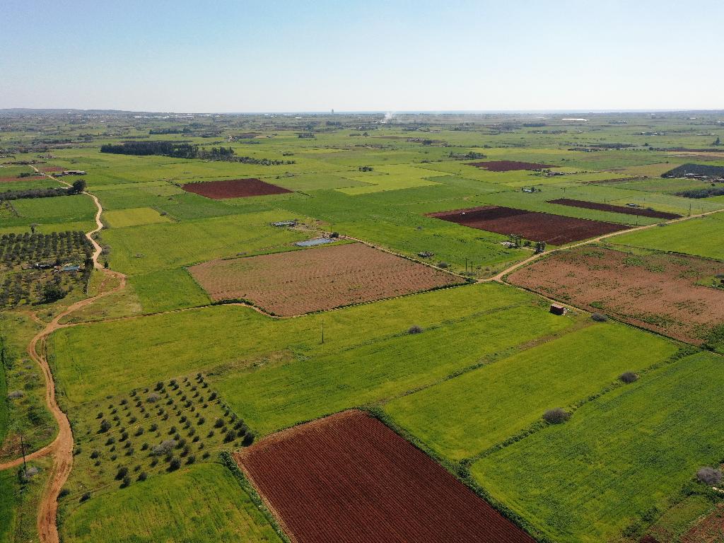 Field (Share) - Avgorou, Famagusta