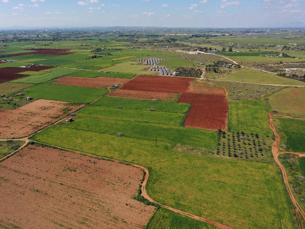 Field (Share) - Avgorou, Famagusta