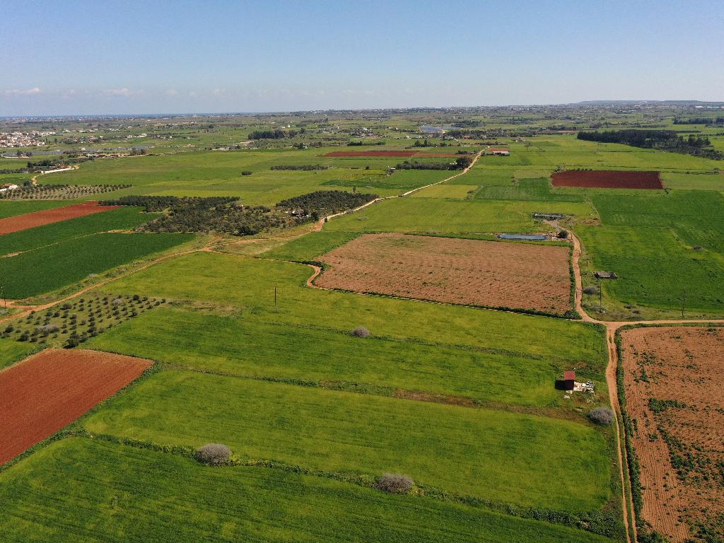 Field (Share) - Avgorou, Famagusta