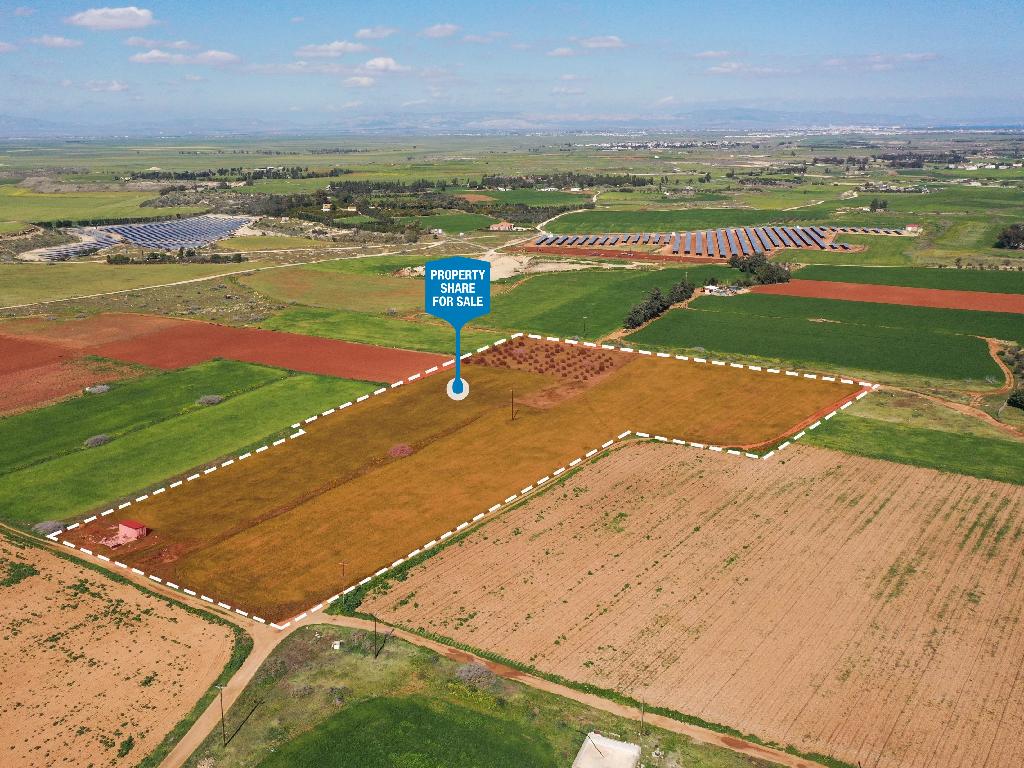 Field (Share) - Avgorou, Famagusta