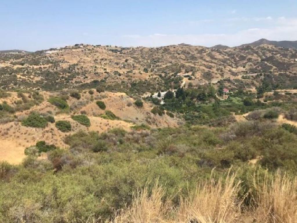 Field-Kato Pyrgos-PR32678