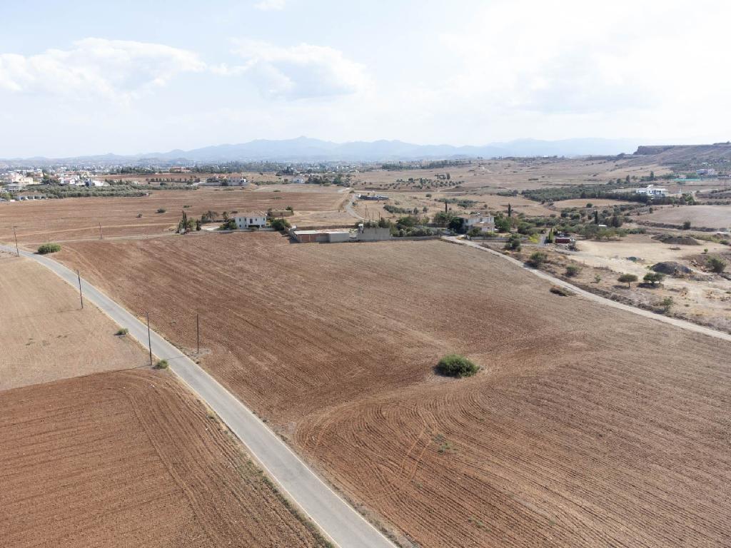 Field-Pano Deftera-PR33735