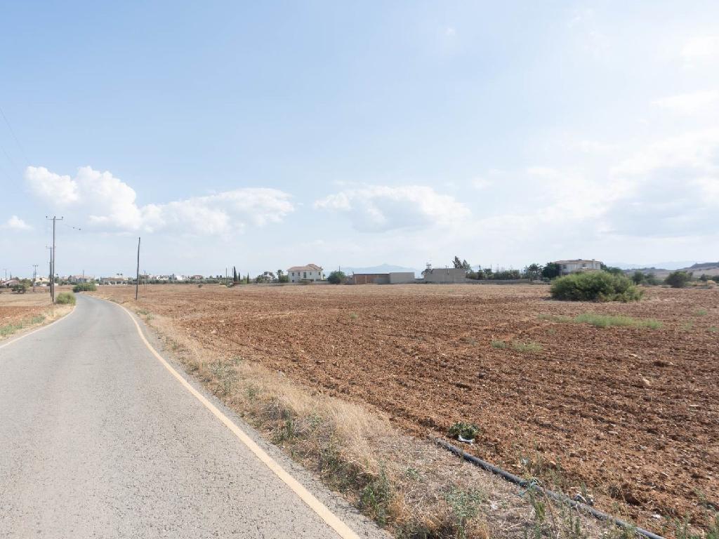 Field-Pano Deftera-PR33735
