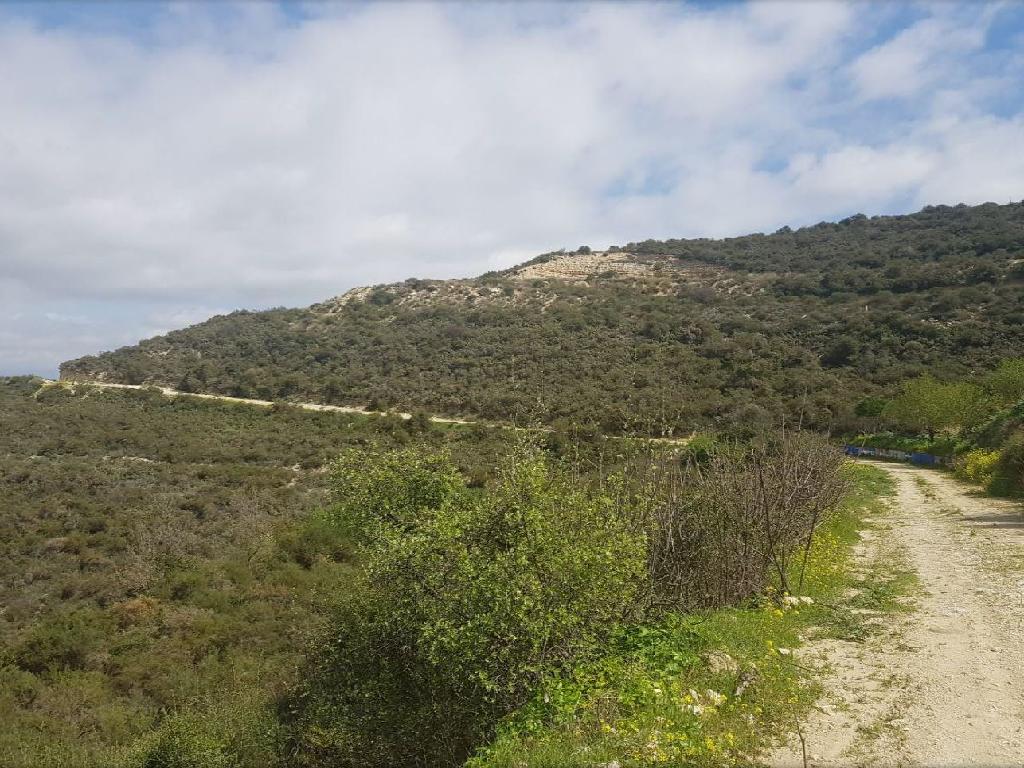 Field-Agios Amvrosios-PR34347