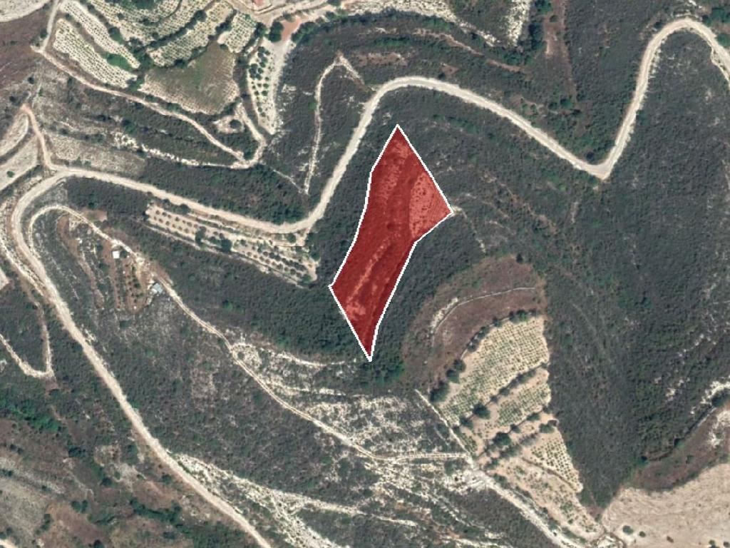 Field-Agios Amvrosios-PR34347