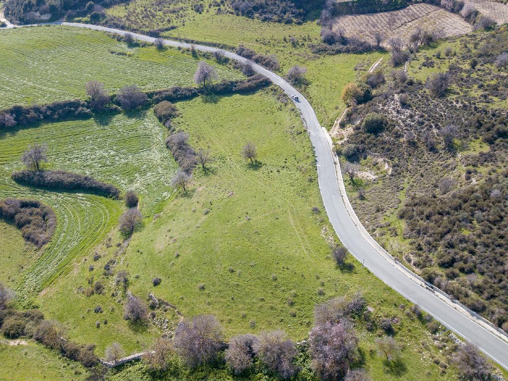 Field-Dora-PR34913