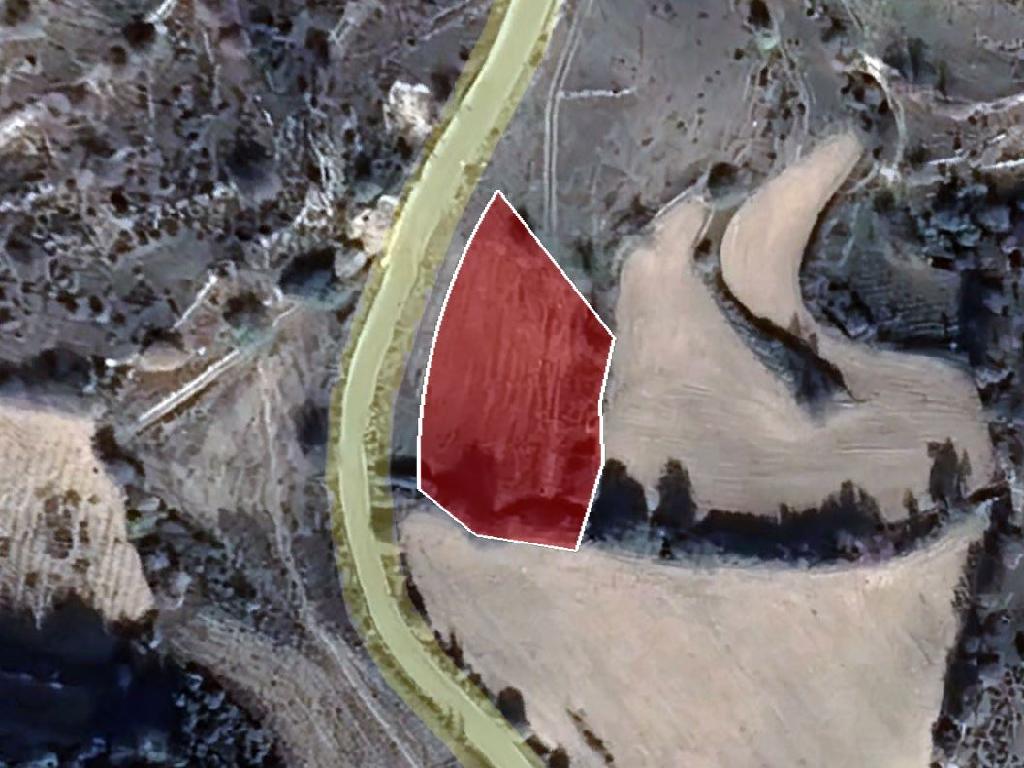 Field-Dora-PR34913