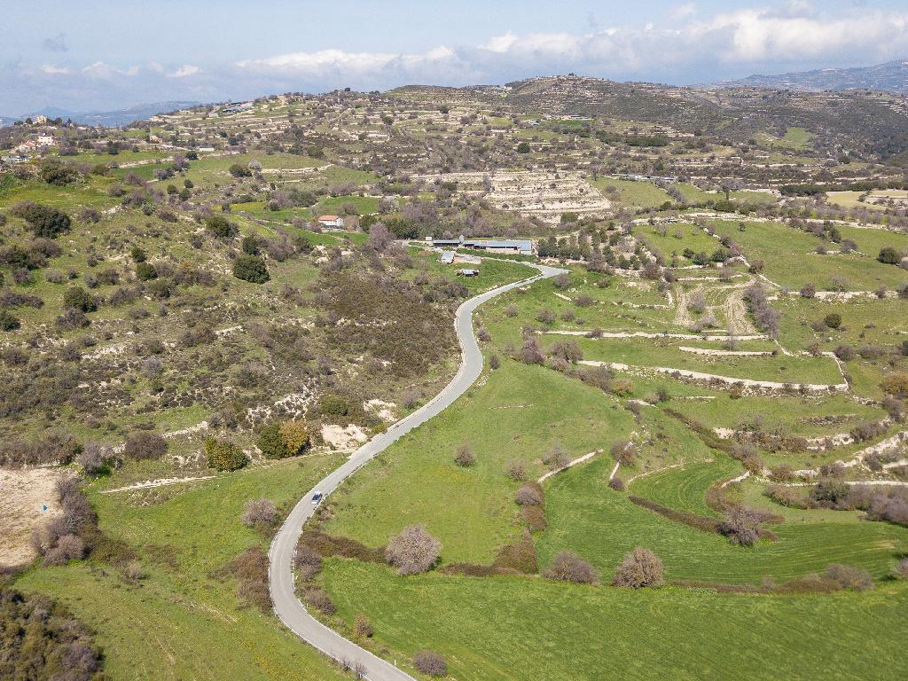 Field-Dora-PR34913