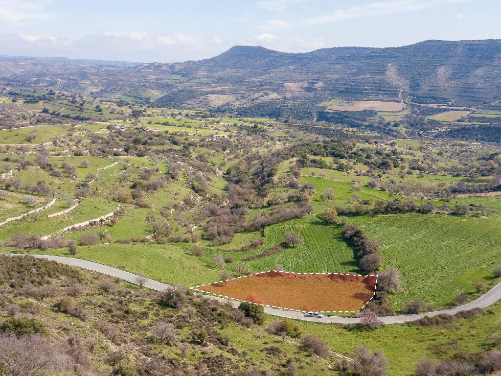 Field-Dora-PR34913