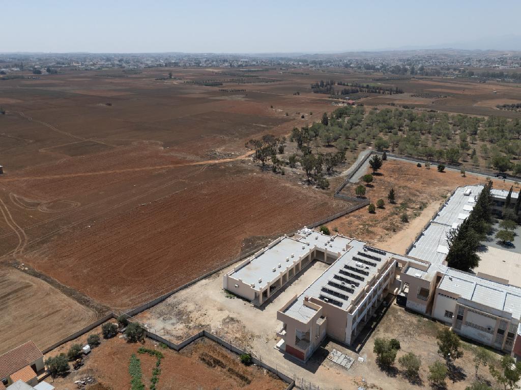 Field-Kokkinotrimithia-PR35131