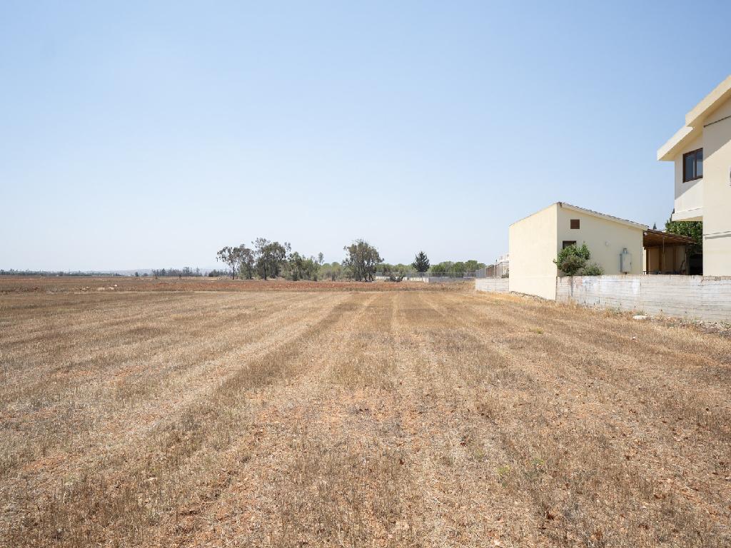 Field-Kokkinotrimithia-PR35131