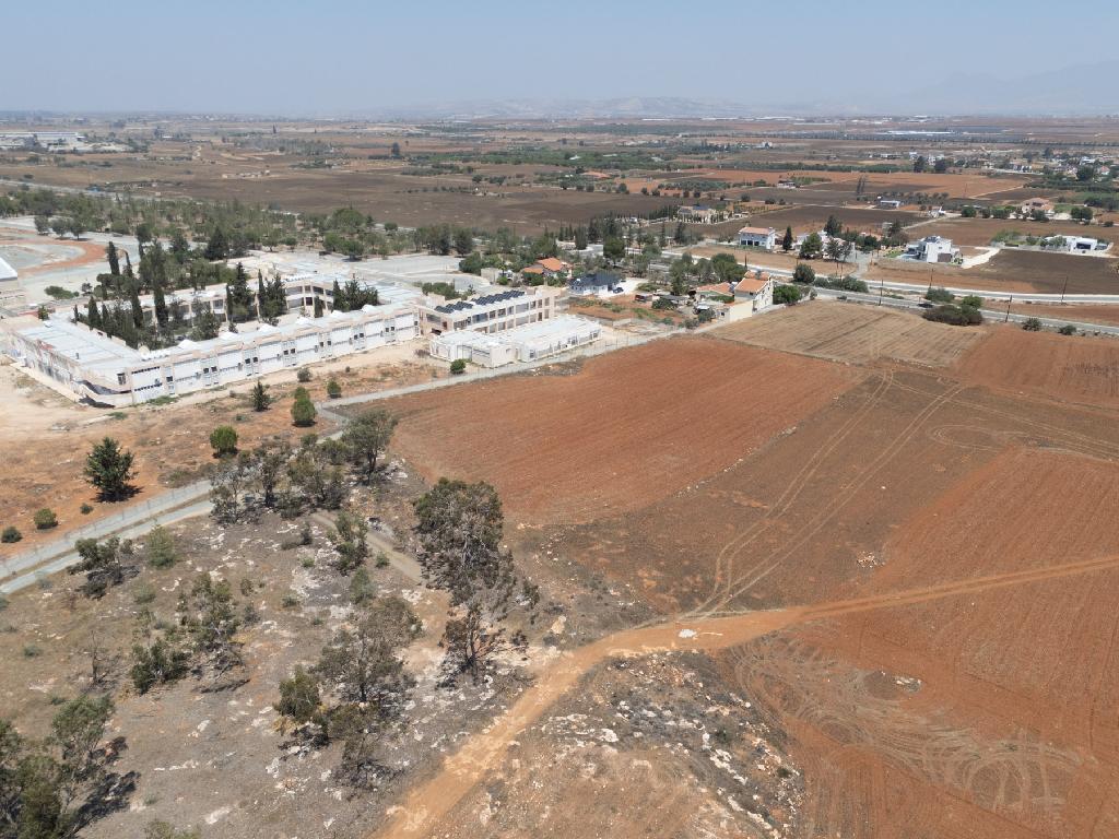 Field-Kokkinotrimithia-PR35131
