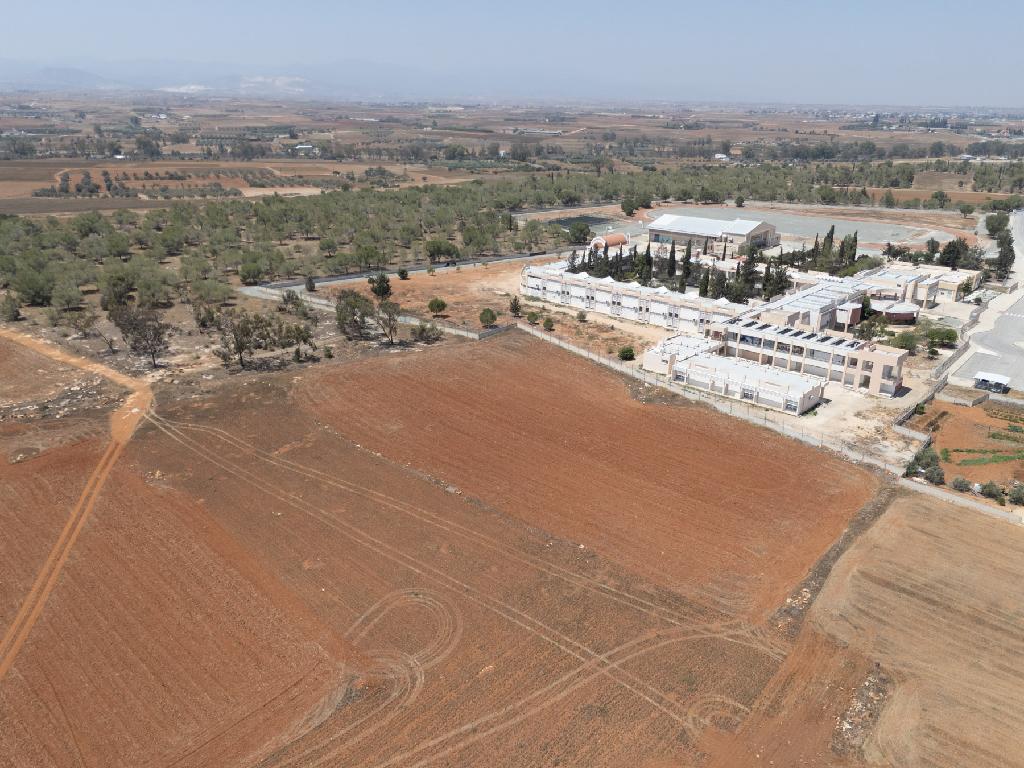 Field-Kokkinotrimithia-PR35131