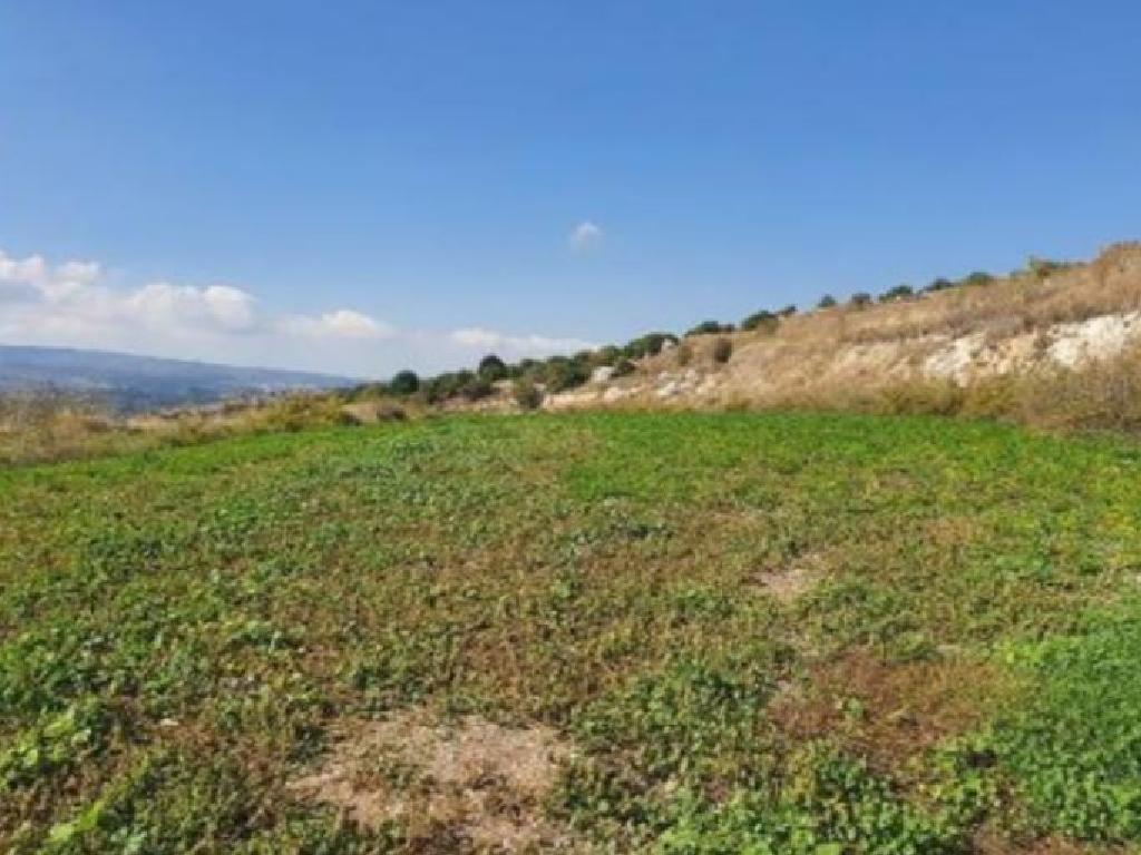 Field - Filousa (Chrysochous), Paphos