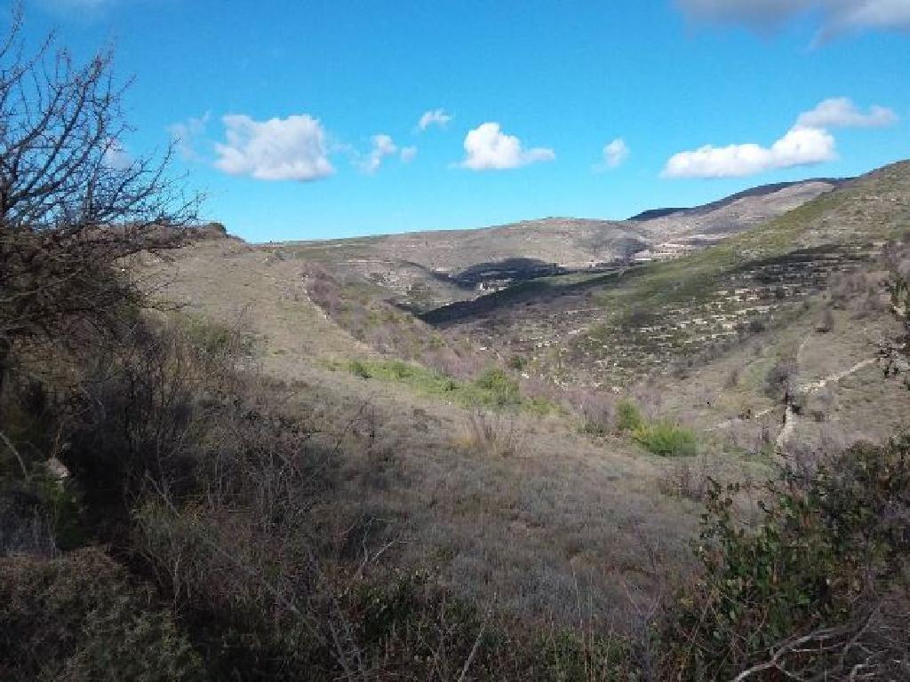 Field-Malia-PR37723