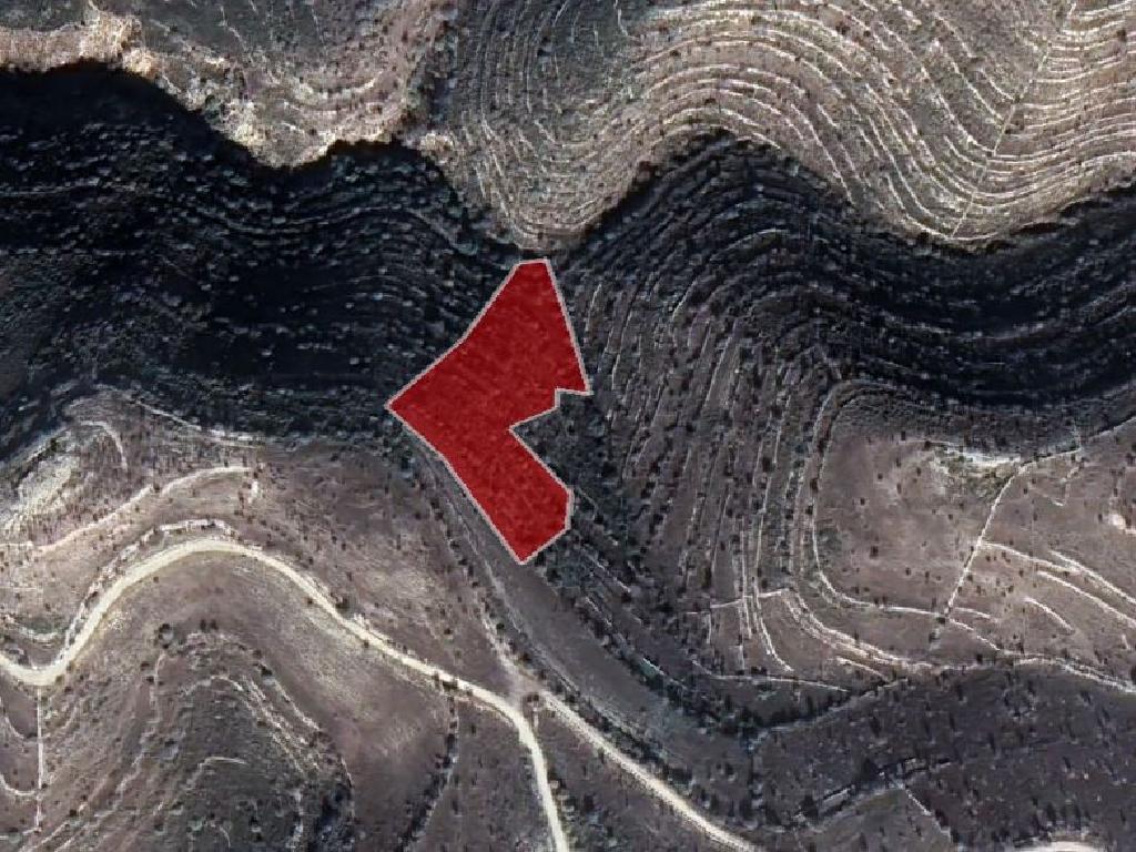 Field-Malia-PR37723