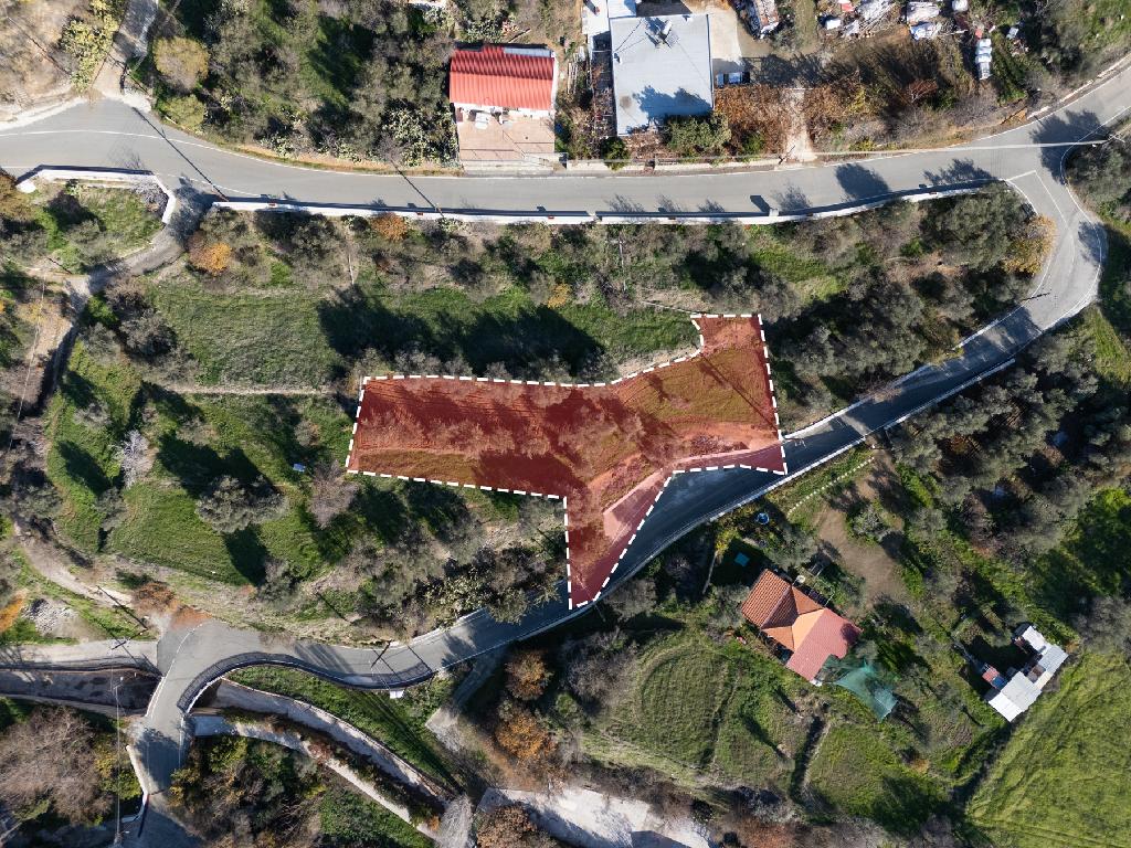 Field-Agios Theodoros (Soleas)-PR39367