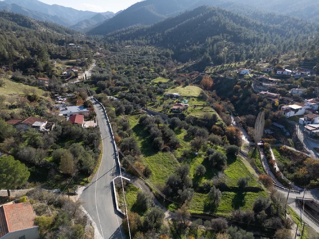 Field-Agios Theodoros (Soleas)-PR39367
