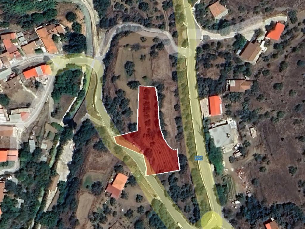 Field-Agios Theodoros (Soleas)-PR39367