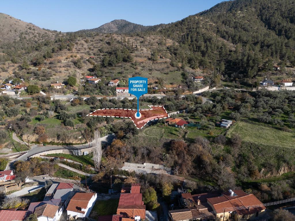 Field-Agios Theodoros (Soleas)-PR39367