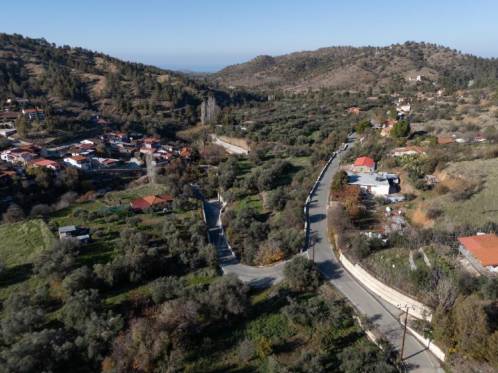Field-Agios Theodoros (Soleas)-PR39367