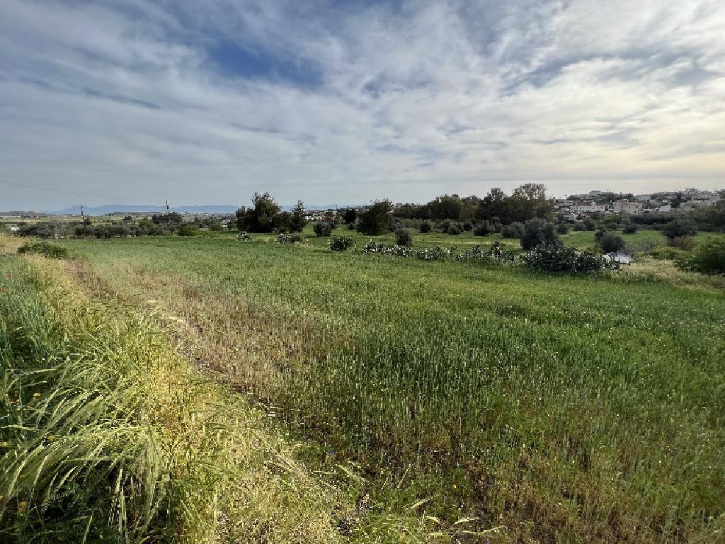 Field-Klirou-PR39451