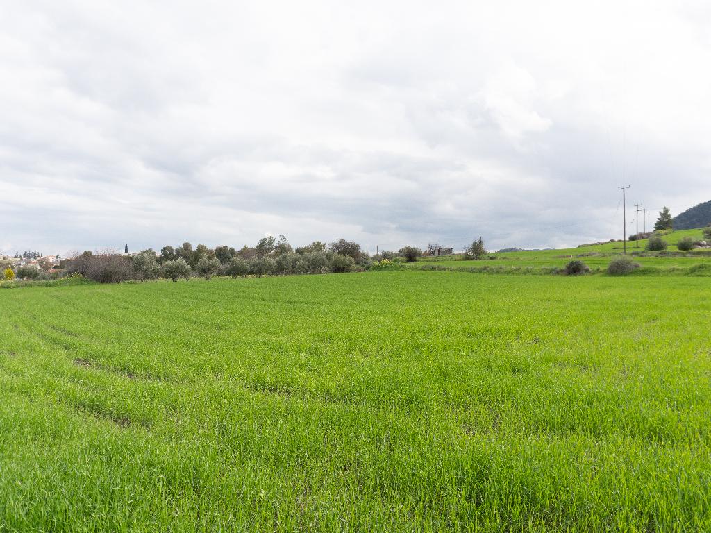 Field-Klirou-PR39451