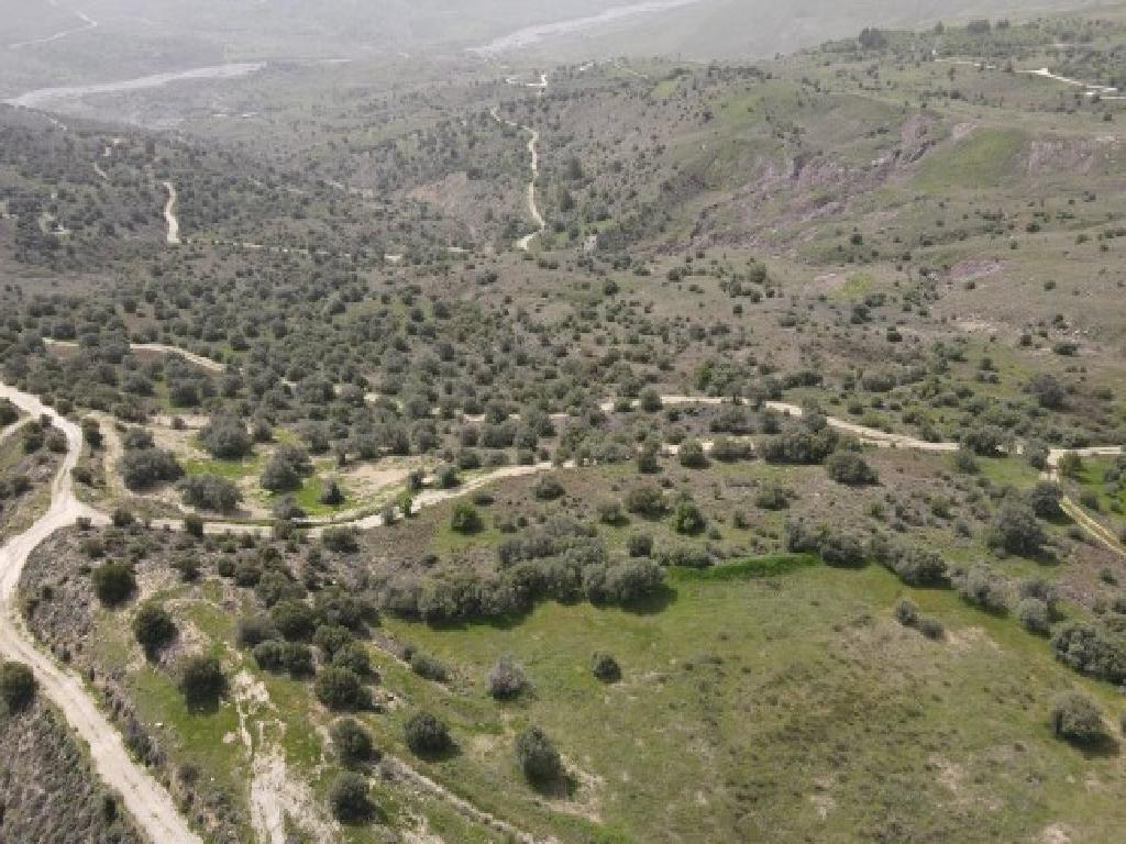 Field-Pentalia-PR39532