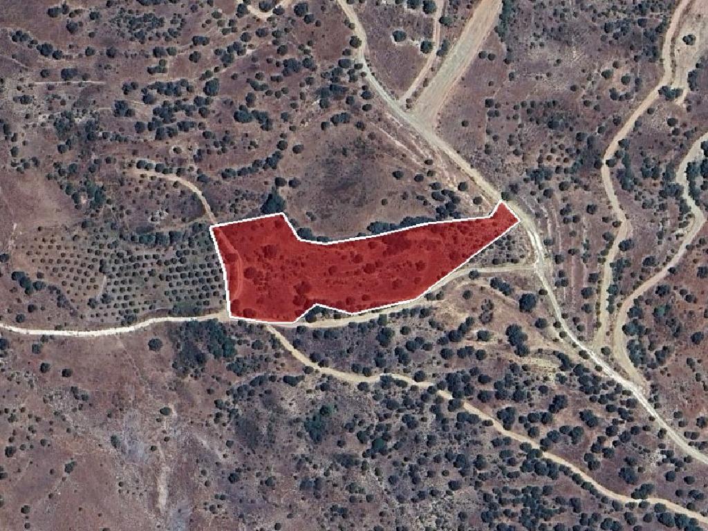 Field-Pentalia-PR39532