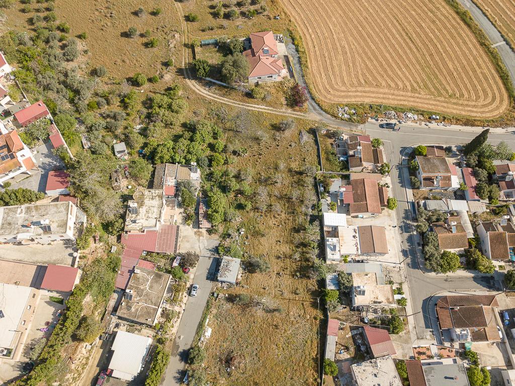 Field-Ormideia-PR39958