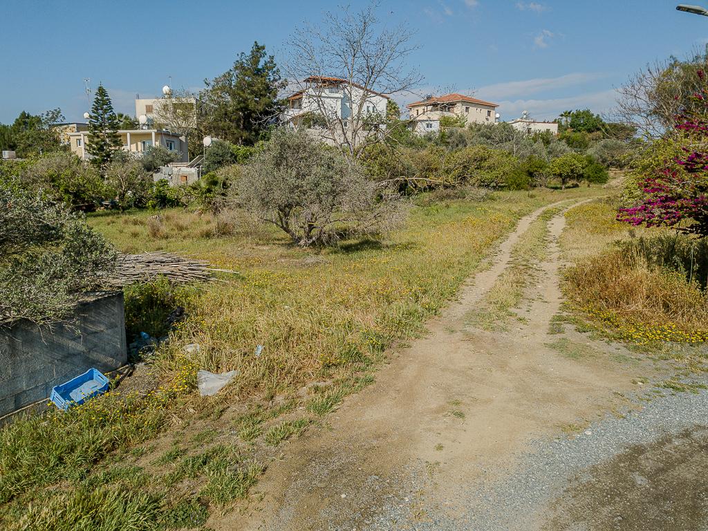 Field-Ormideia-PR39958