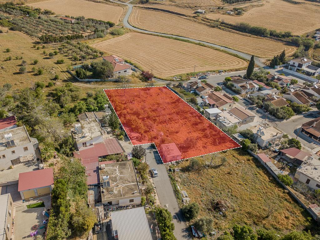 Field-Ormideia-PR39958