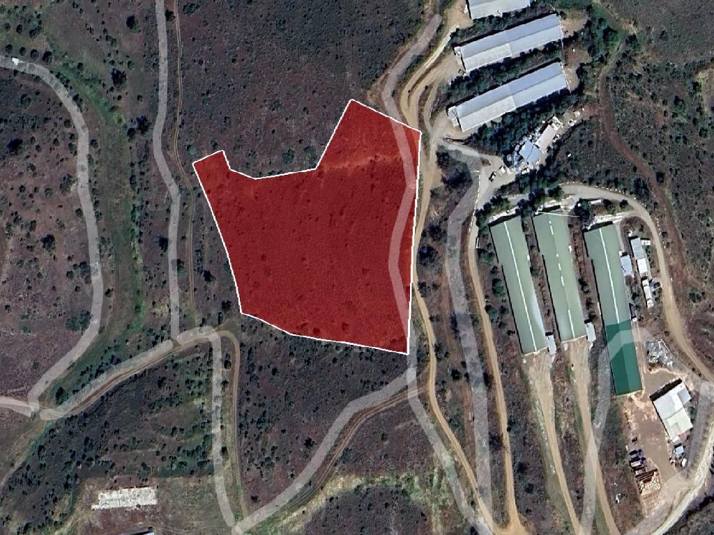 Field - Mitsero, Nicosia