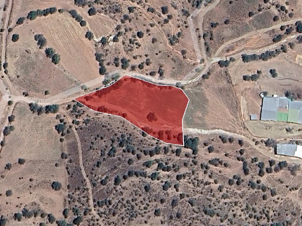 Field-Kelokedara-PR40587