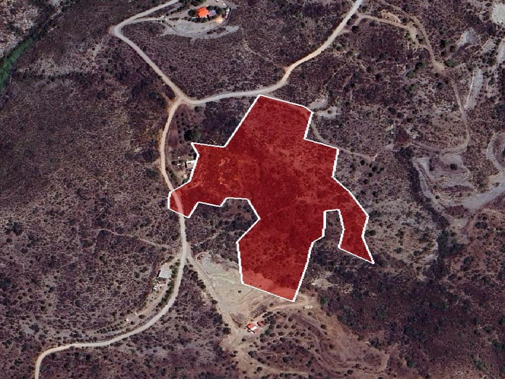 Field-Lageia-PR40523