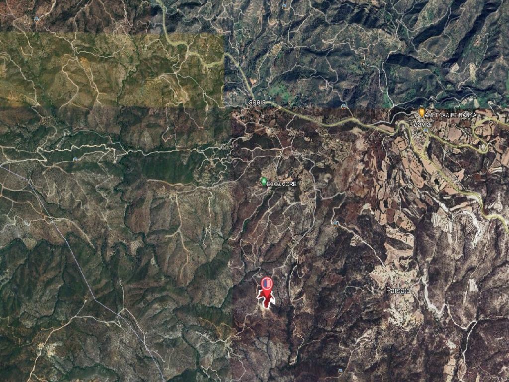 Field-Lageia-PR40523