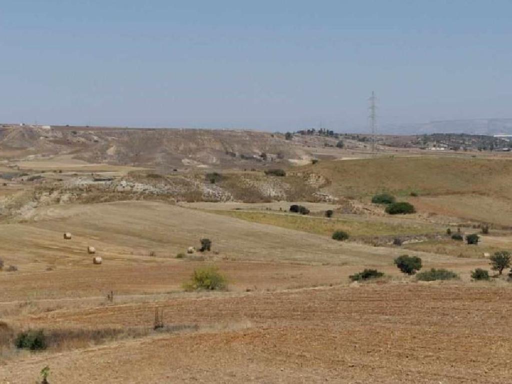 Field-Ergates-PR40672