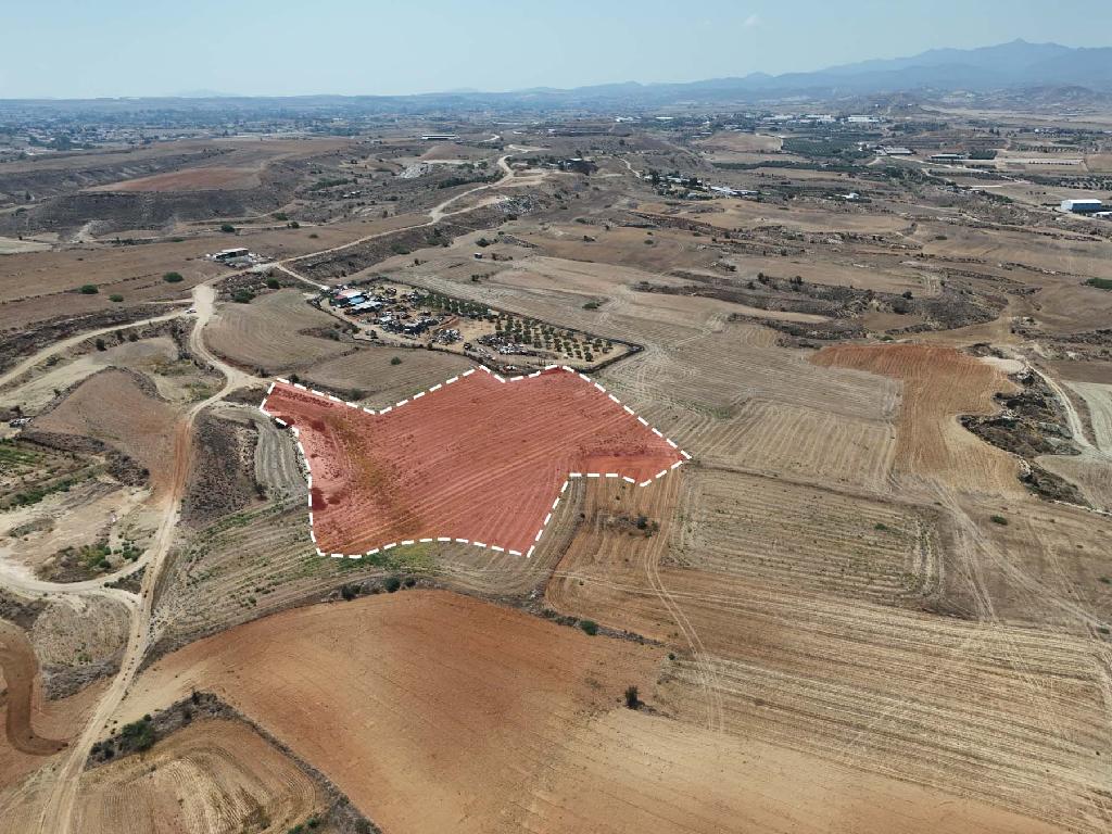 Field - Ergates, Nicosia