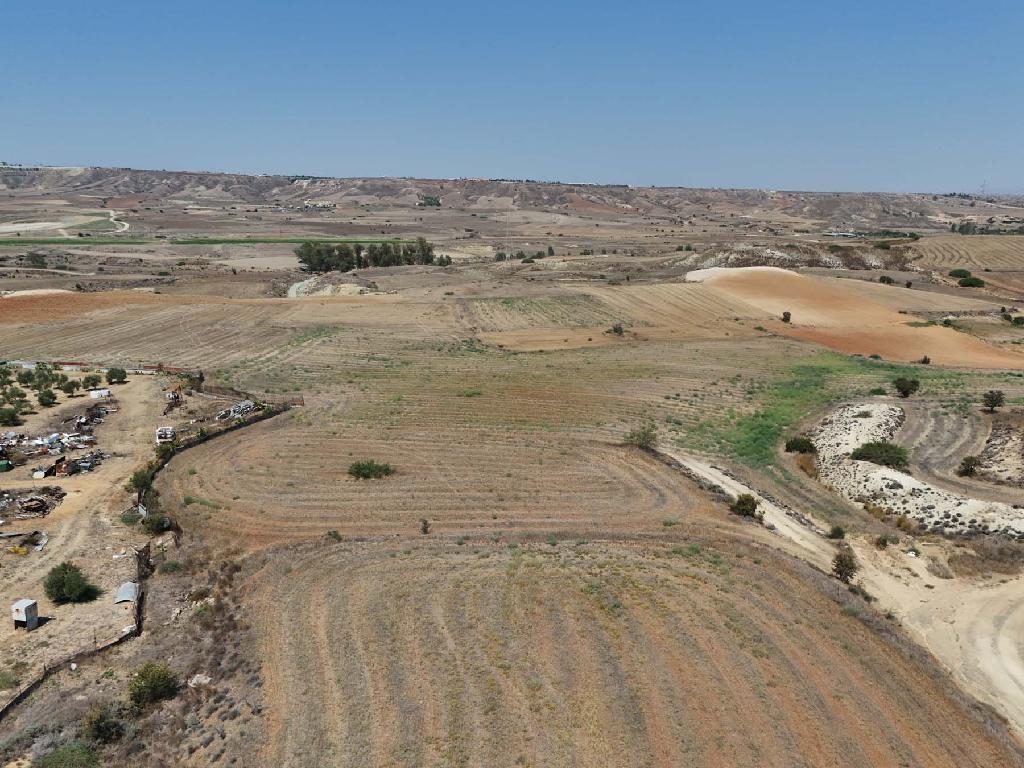 Field - Ergates, Nicosia
