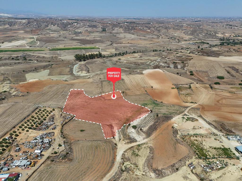 Field - Ergates, Nicosia