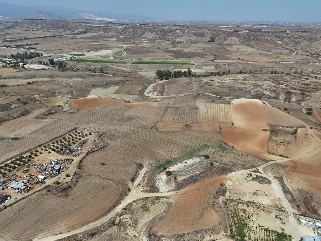 Field - Ergates, Nicosia