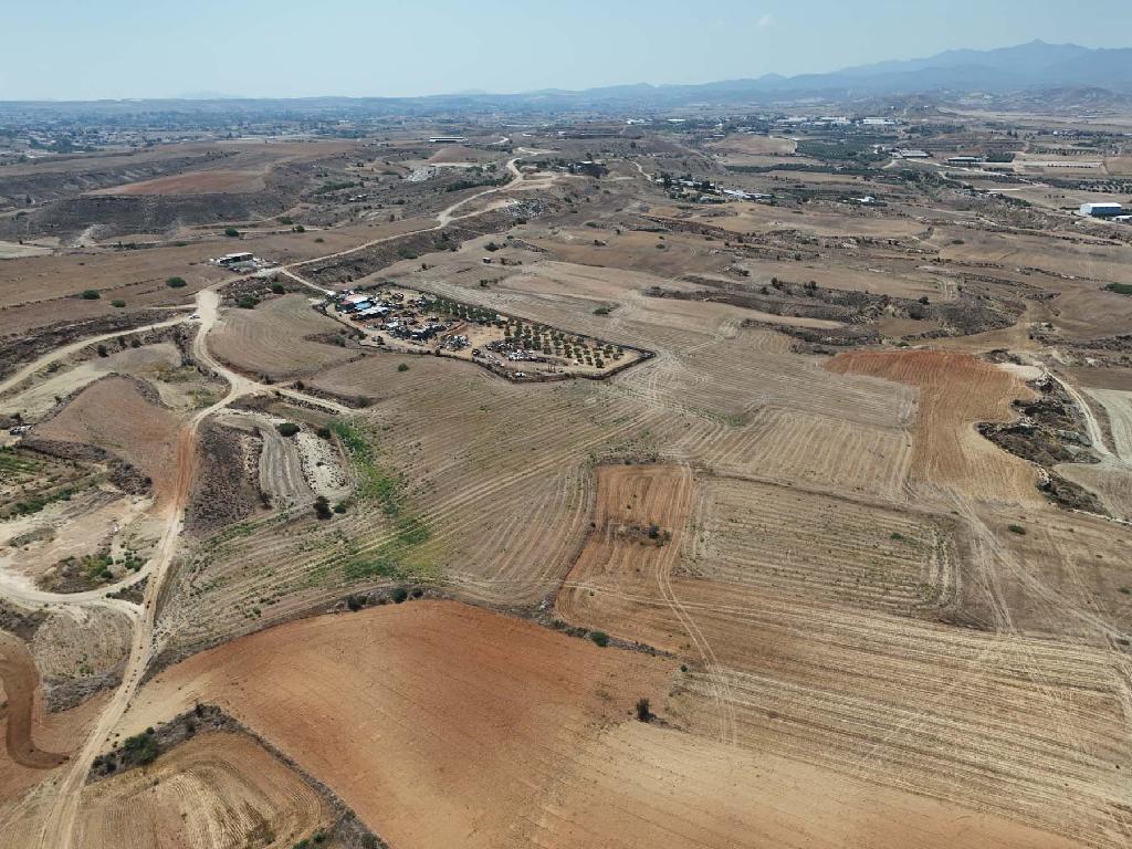 Field - Ergates, Nicosia