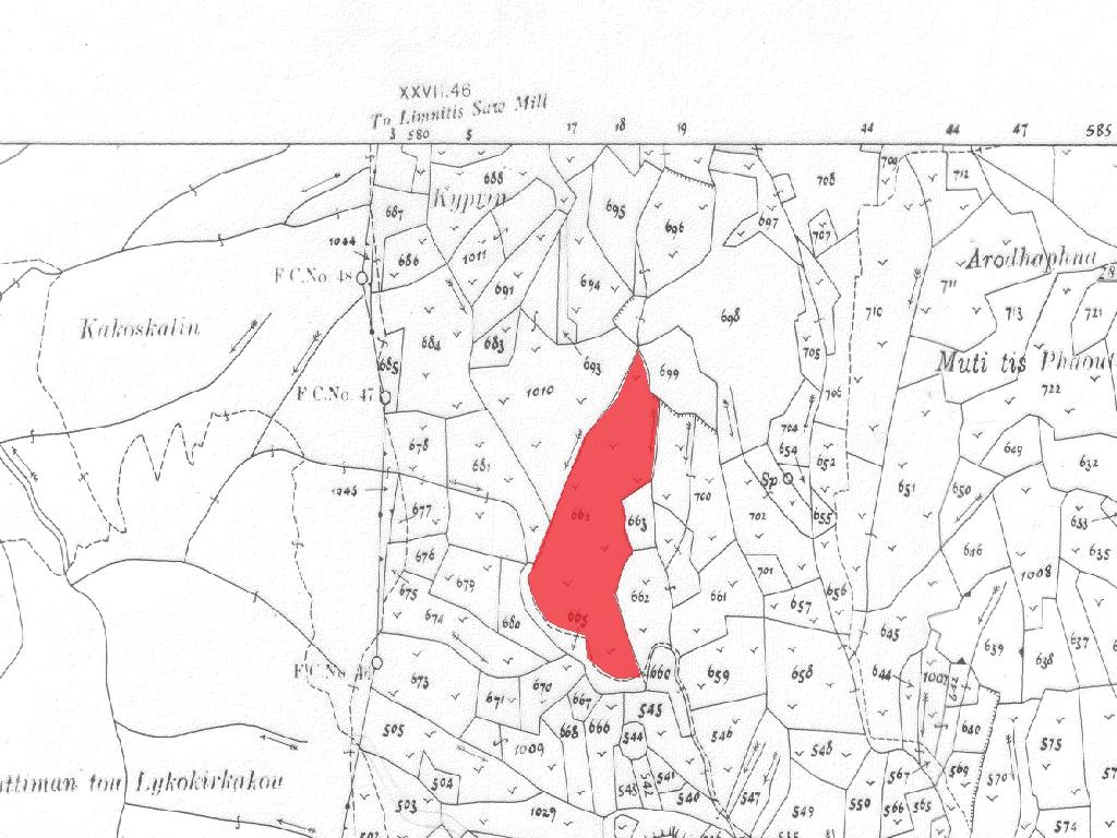 Field - Kampos, Nicosia