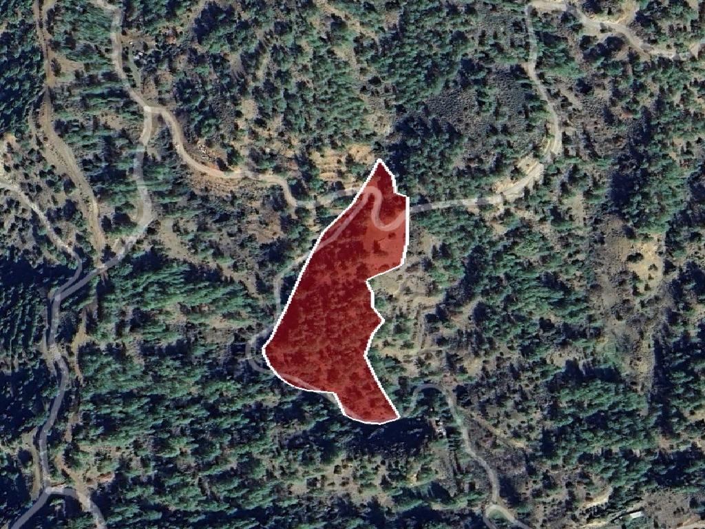 Field - Kampos, Nicosia